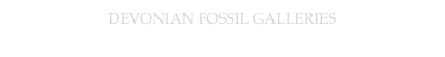 DEVONIAN FOSSIL GALLERIES